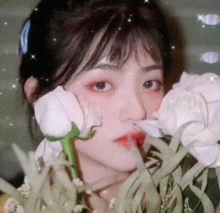奇探佩辛丝第一季