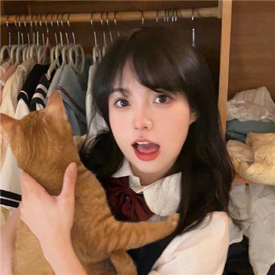 再见非洲